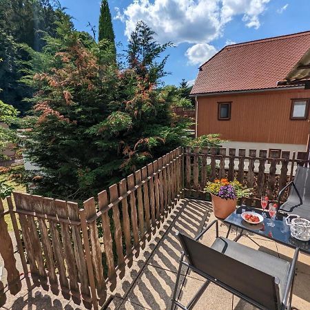 H2 - Urlaubsmagie - Garten, Pool, Terrasse, Grill Sebnitz Kültér fotó