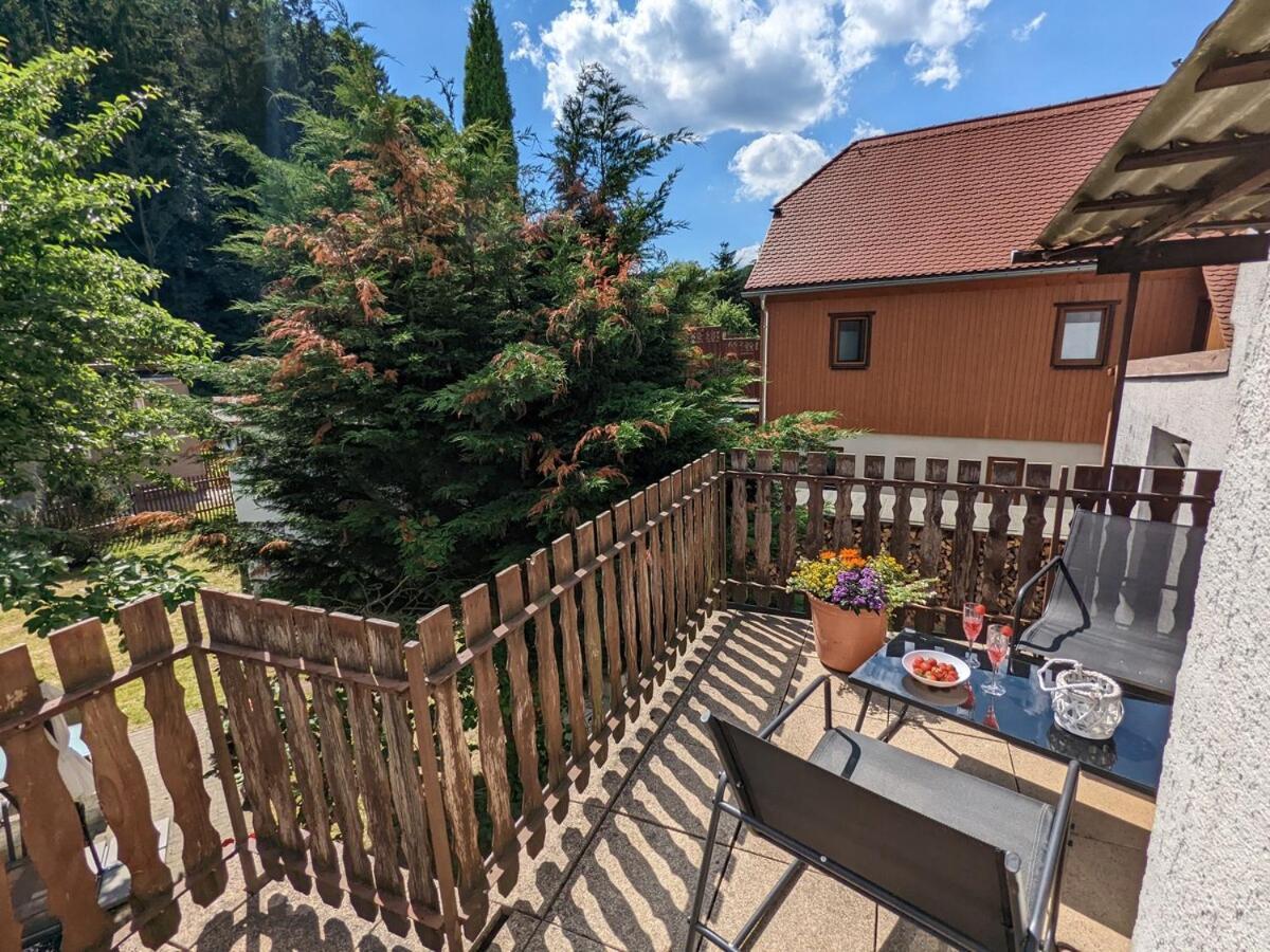 H2 - Urlaubsmagie - Garten, Pool, Terrasse, Grill Sebnitz Kültér fotó