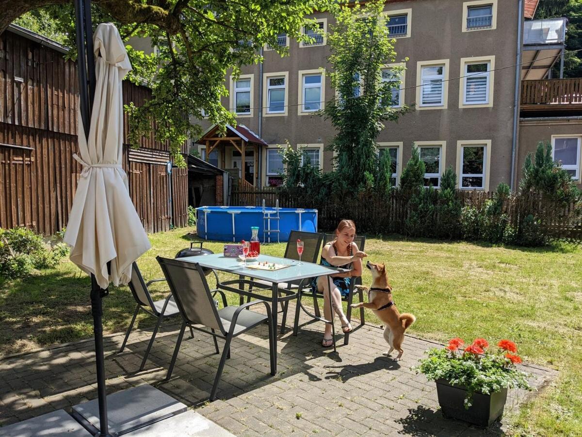 H2 - Urlaubsmagie - Garten, Pool, Terrasse, Grill Sebnitz Kültér fotó